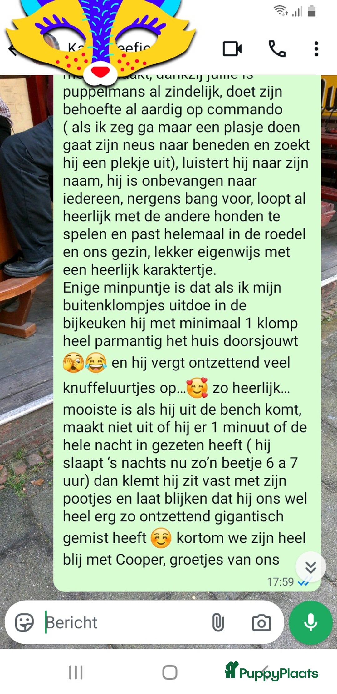 Rhodesian Ridgeback honden te koop: "Prachtige kruising Rhodesians"  in Bavel - Afbeelding 28
