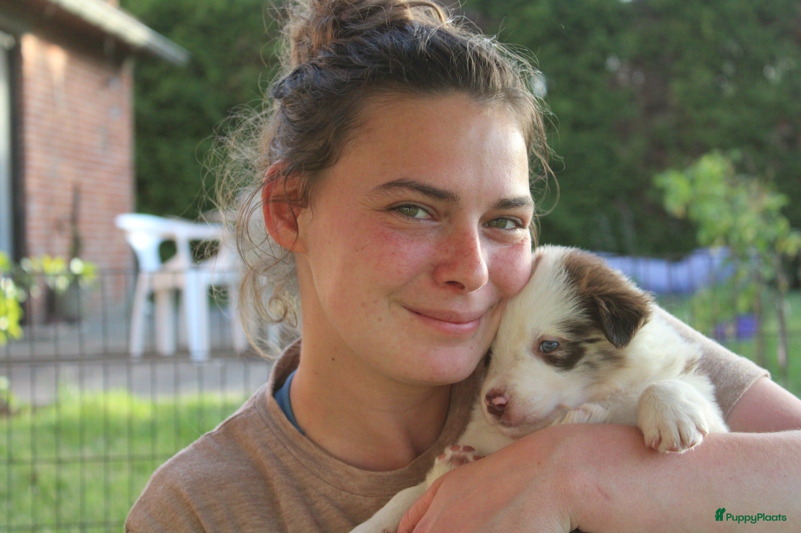 Border Collie honden te koop: Mooie speciale lieve Merle puppies - Advertentie 28