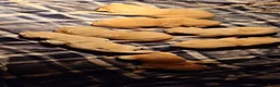 Goldador honden te koop: Golden retriever x Labrador pup - Advertentie 4