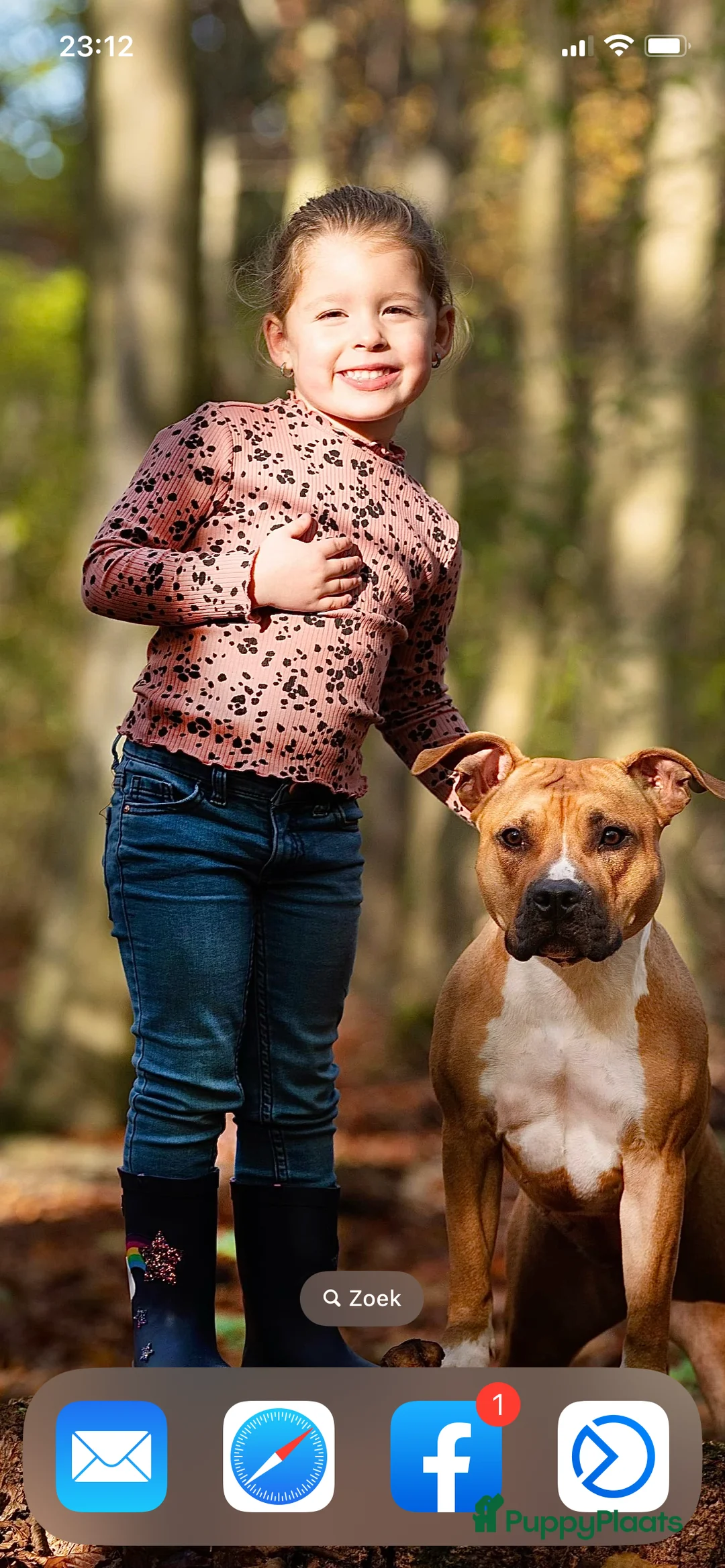 Galerij afbeelding {{count}}