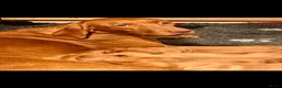 Vizsla korthaar honden te koop: Kortharige Hongaarse Vizsla-pups - Advertentie 13