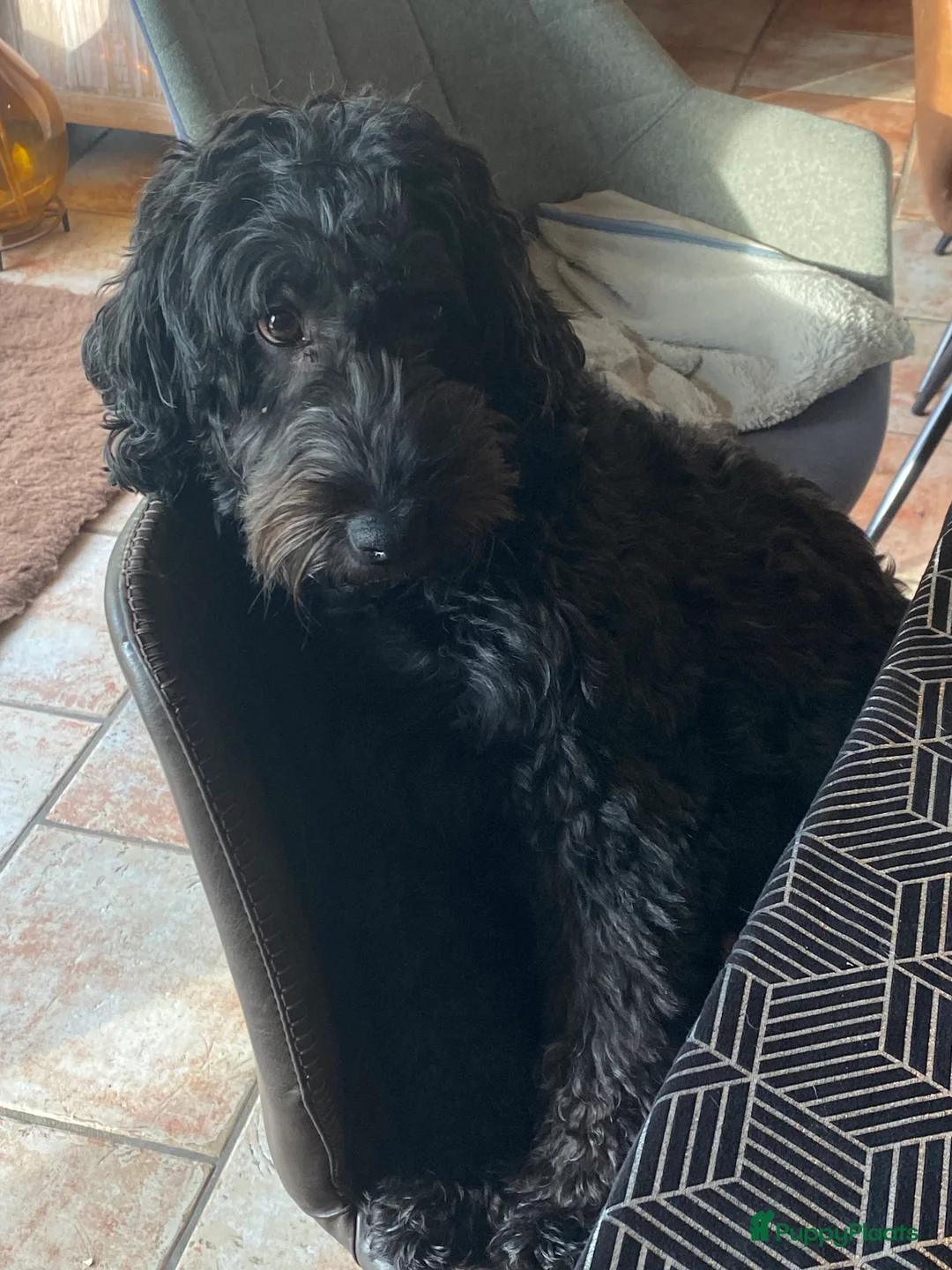 Galerij afbeelding {{count}}