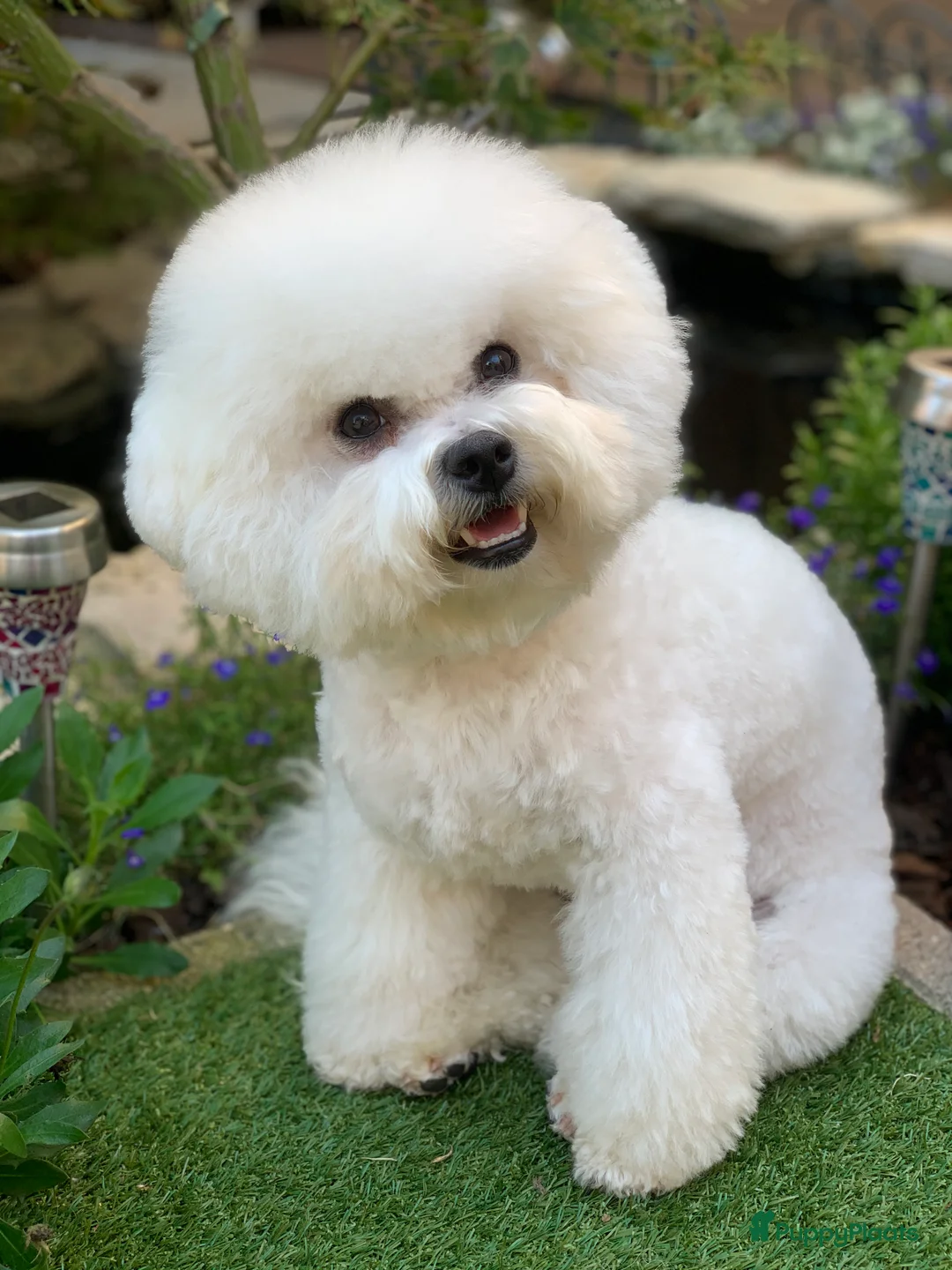 Galerij afbeelding {{count}}