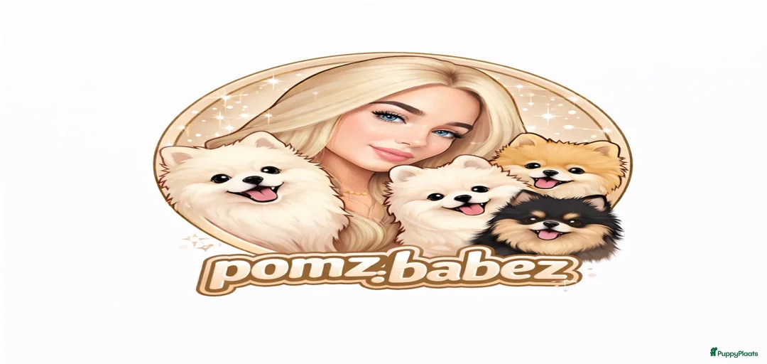 Galerij afbeelding {{count}}