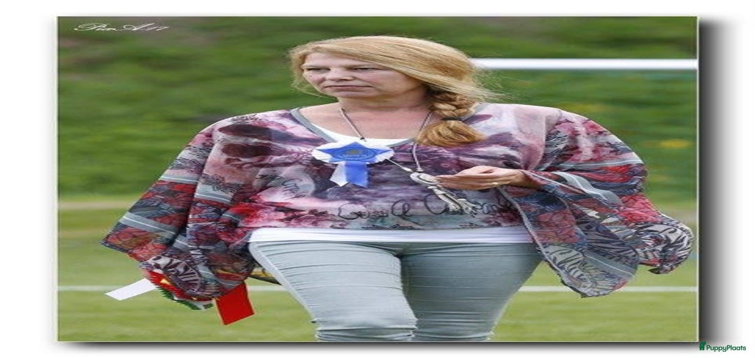 Galerij afbeelding {{count}}