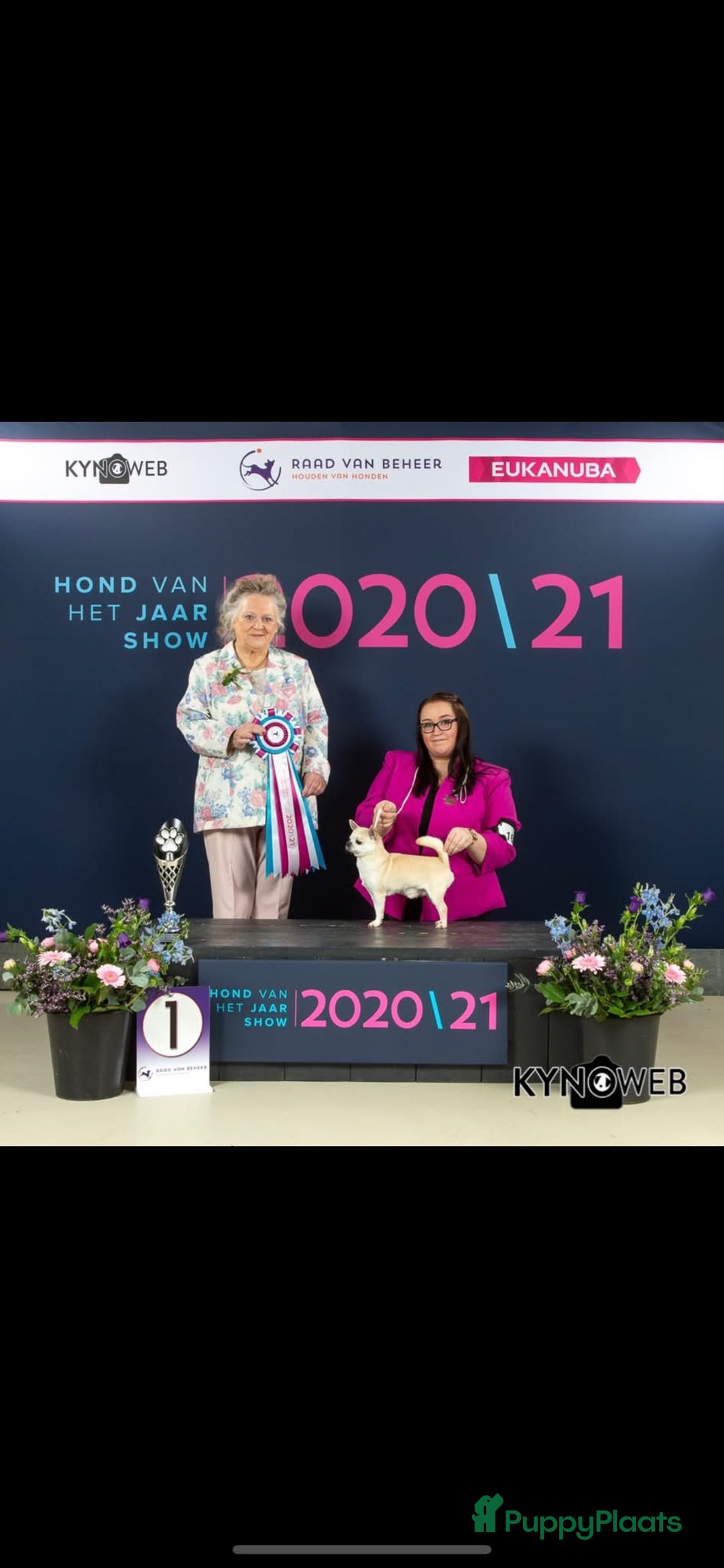 Galerij afbeelding {{count}}