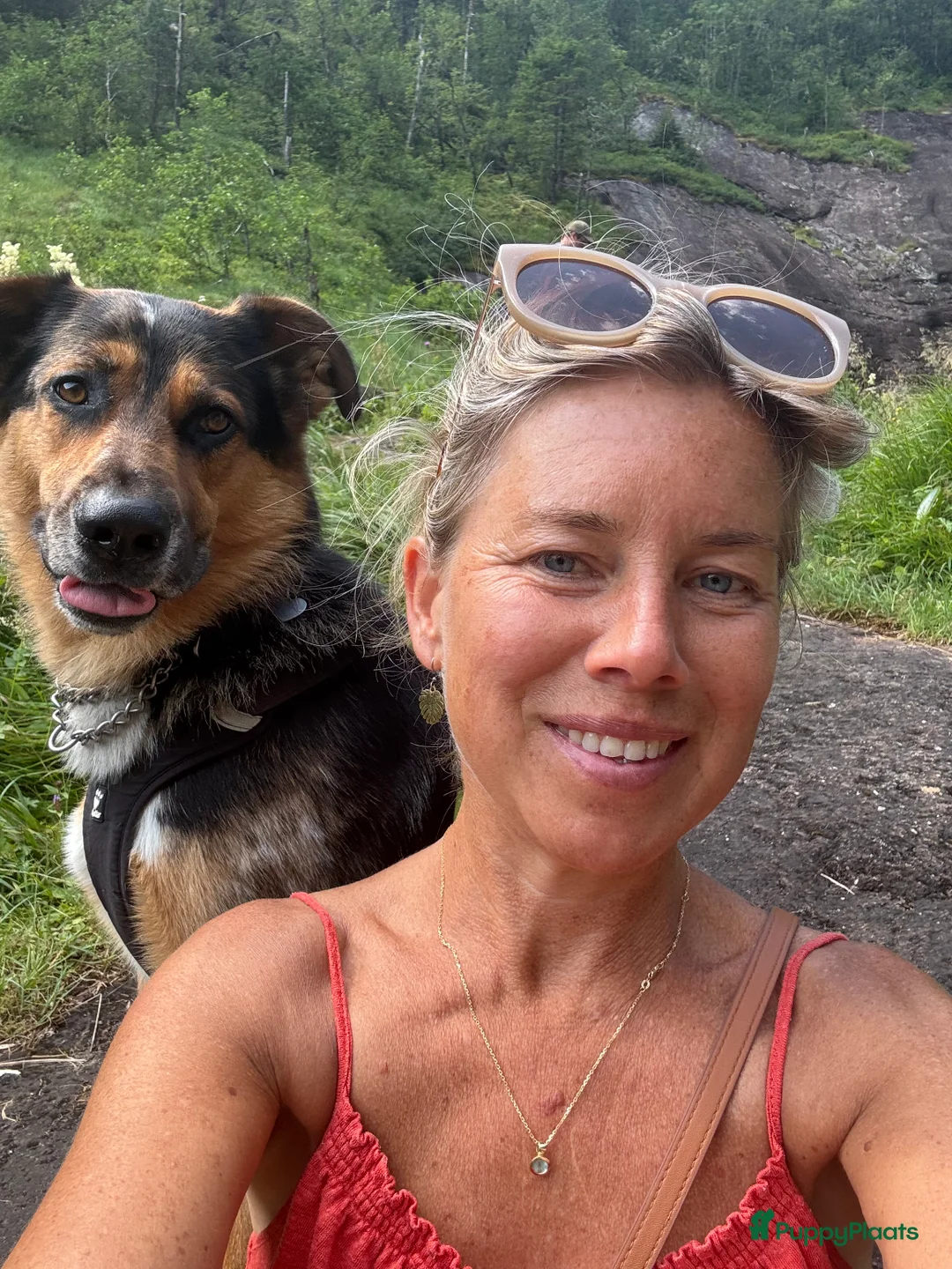 Galerij afbeelding {{count}}