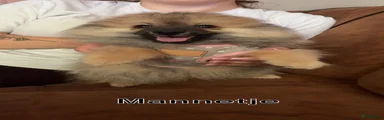 Kruising 3