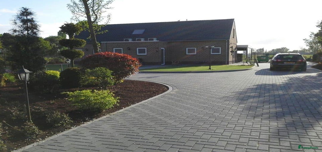 Galerij afbeelding {{count}}