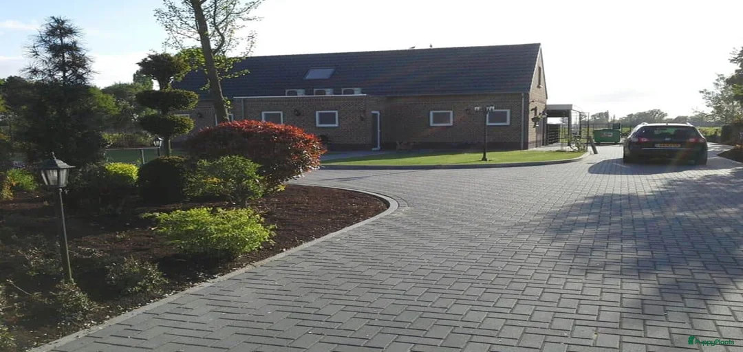 Galerij afbeelding {{count}}