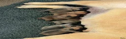 Bullmastiff honden te koop: Bullmastiff pups met stamboom - Advertentie 1