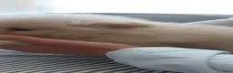 Pomsky honden te koop: Pommeriaan pomsky  - Advertentie 6