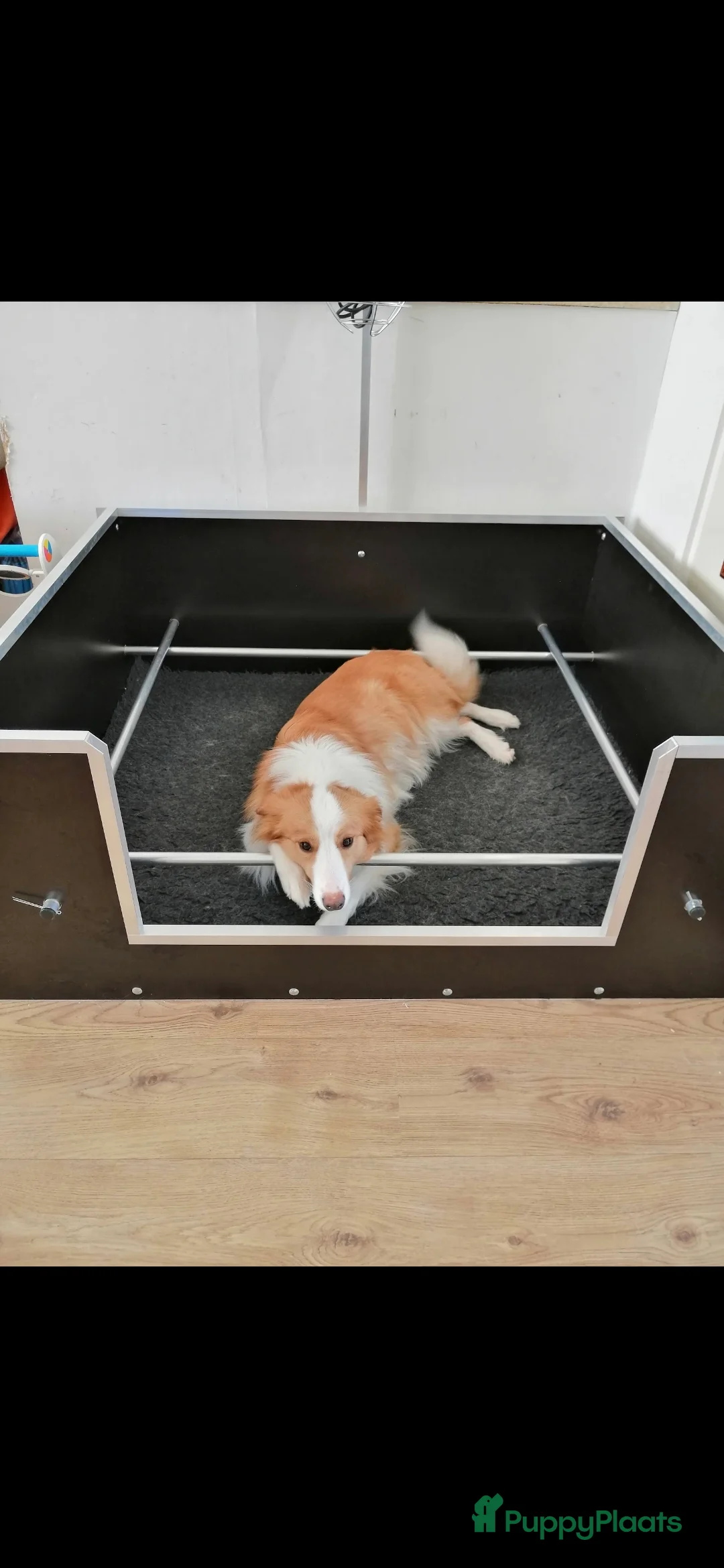 Galerij afbeelding {{count}}