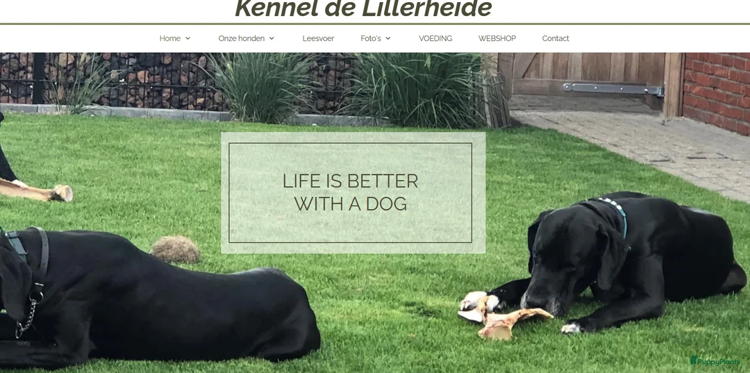 Galerij afbeelding {{count}}