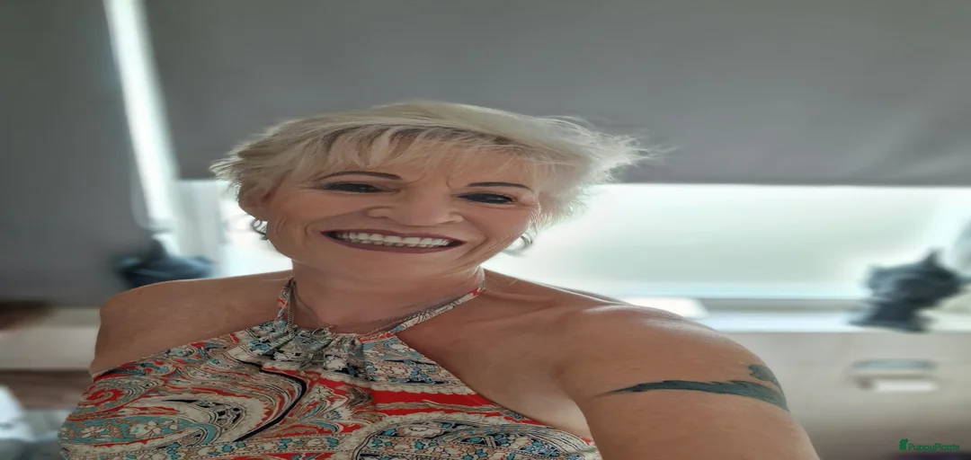 Galerij afbeelding {{count}}