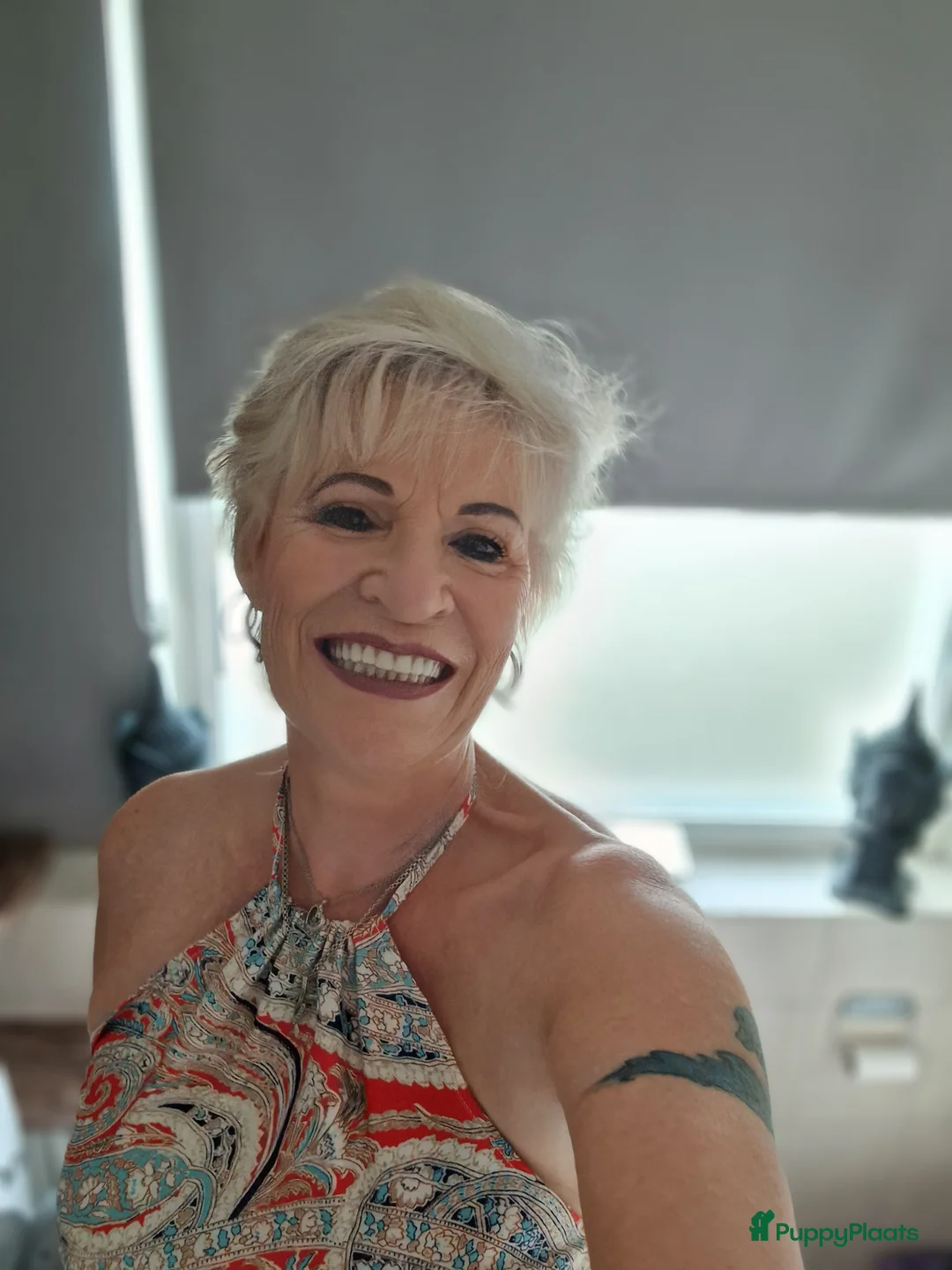 Galerij afbeelding {{count}}