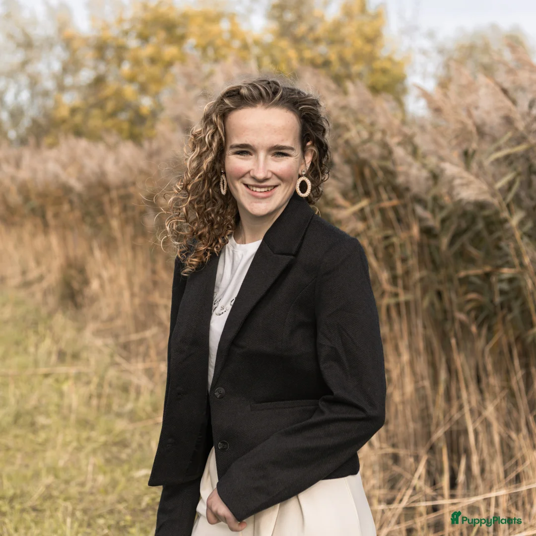 Galerij afbeelding {{count}}