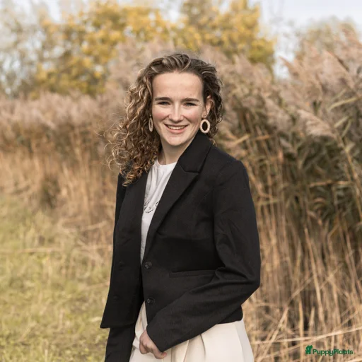 Galerij afbeelding {{count}}