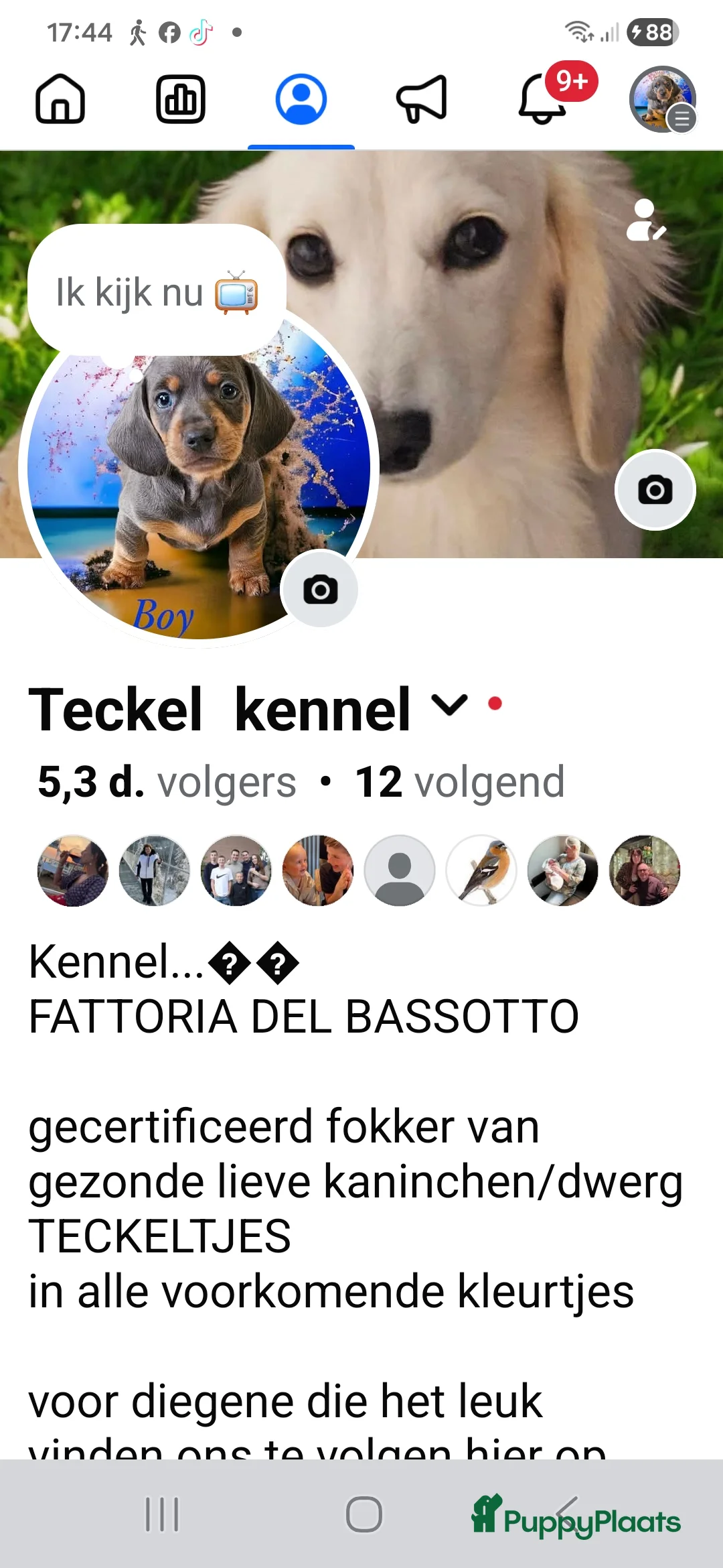 Galerij afbeelding {{count}}