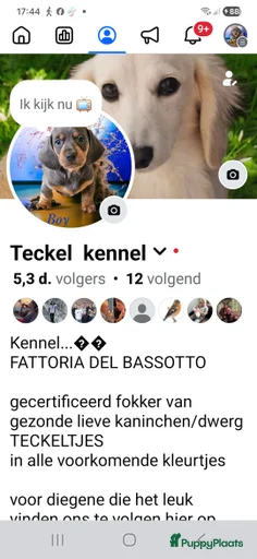 Galerij afbeelding {{count}}