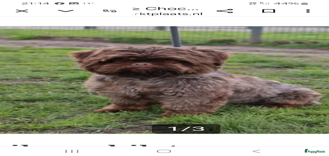 Galerij afbeelding {{count}}