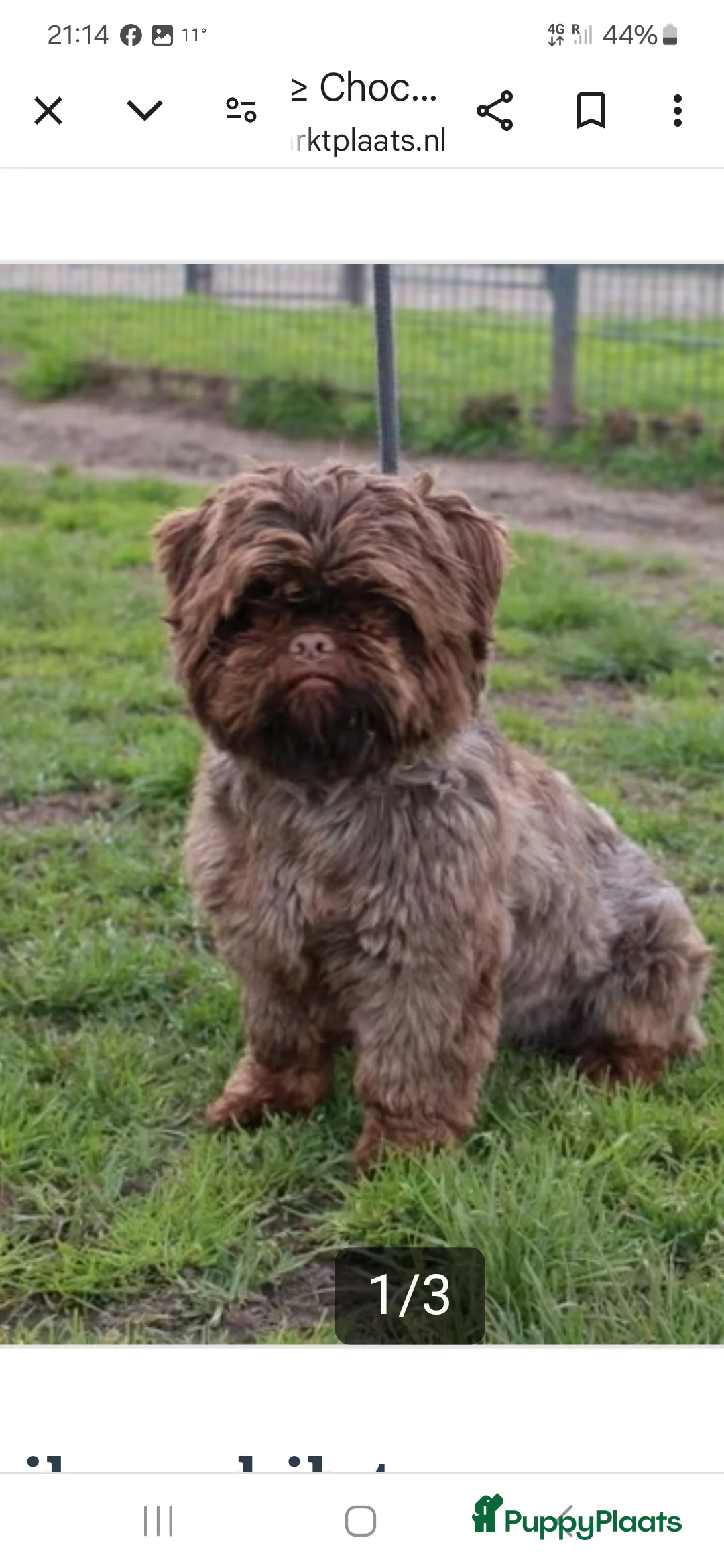 Galerij afbeelding {{count}}