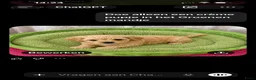 Poedel Toy honden te koop: 3 Toy poedel teefjes  - Advertentie 3