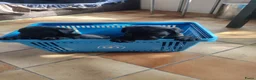 Labrador Retriever honden te koop: 2 mooie weldoorvoede zwarte labrador pups te koop in Roggel - Advertentie 1