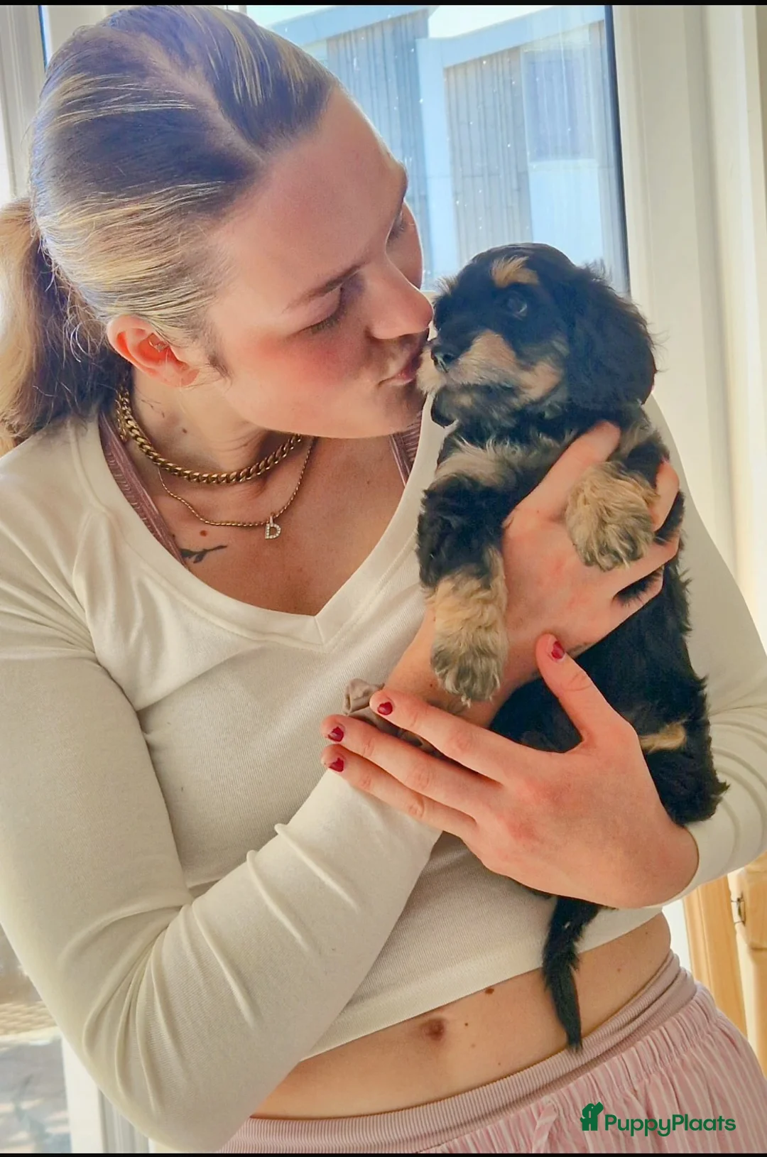 Kruising honden te koop: 🩷maltezer X dwergteckel💙 - Advertentie 6