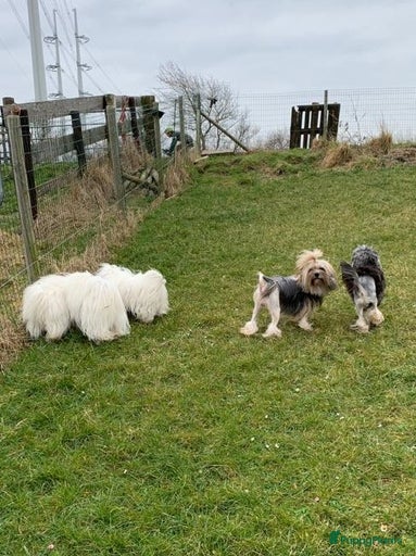 Galerij afbeelding {{count}}