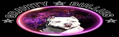 Amerikaanse Bully 1