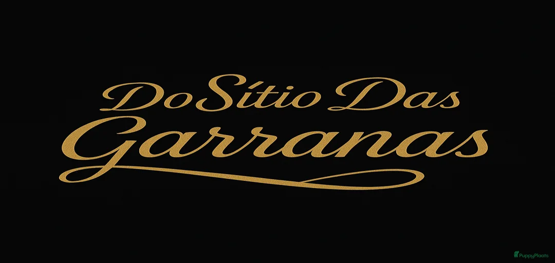 Galerij afbeelding {{count}}