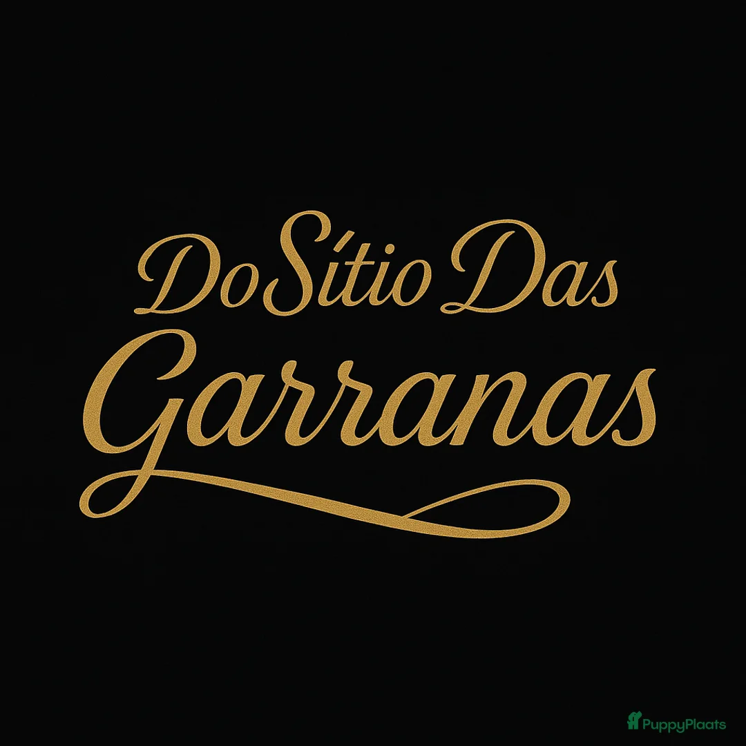 Galerij afbeelding {{count}}