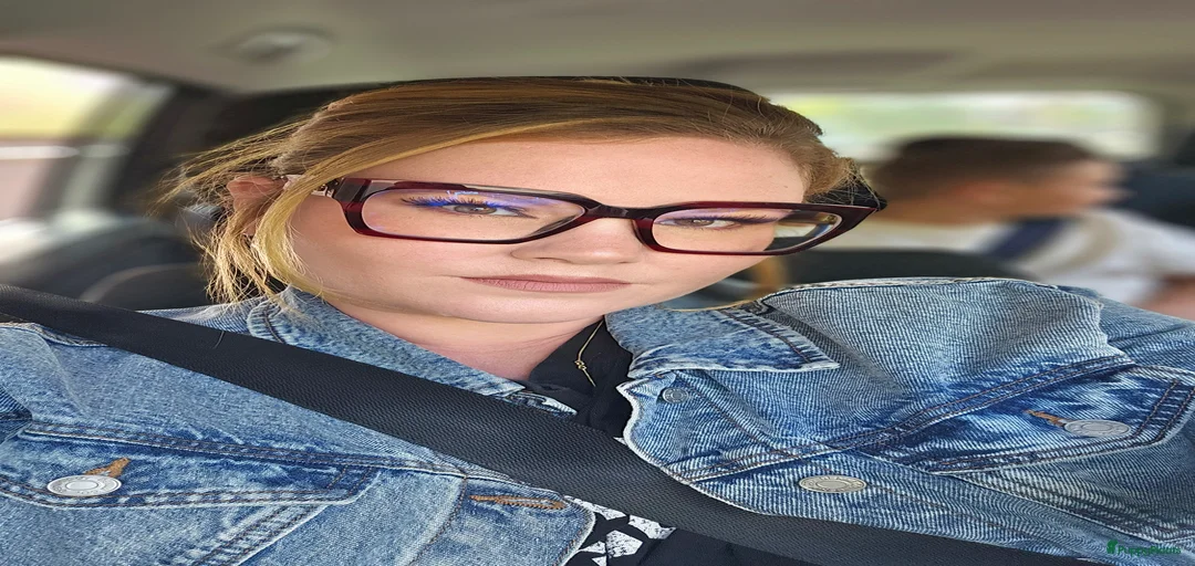 Galerij afbeelding {{count}}