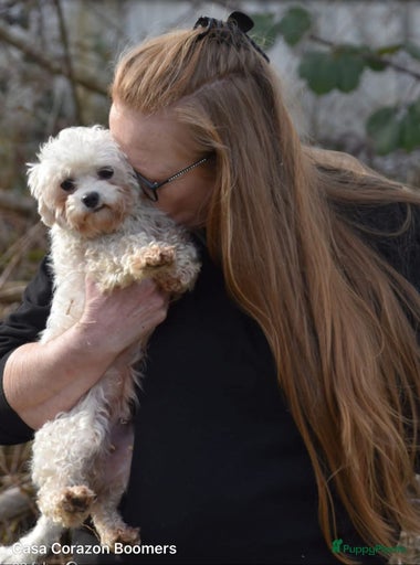 Galerij afbeelding {{count}}