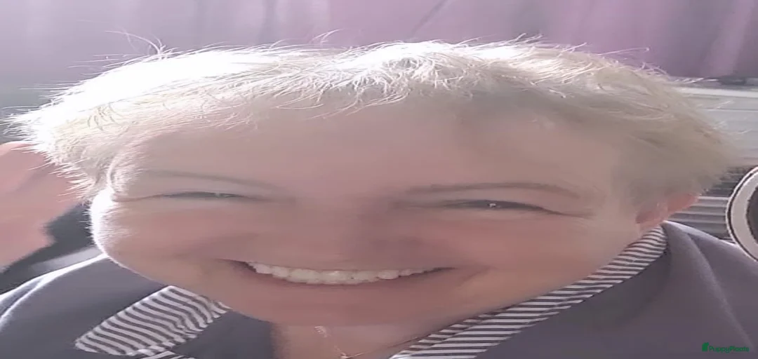 Galerij afbeelding {{count}}