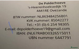 Teckel (korthaar)  honden te koop: De allermooiste dwergteckel pupjes!! - Afbeelding 28