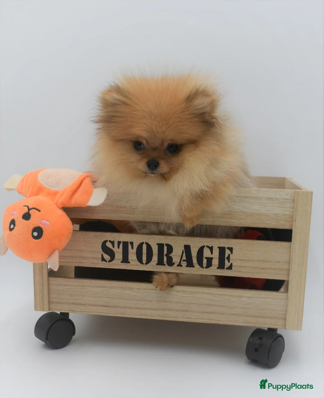 Galerij afbeelding {{count}}