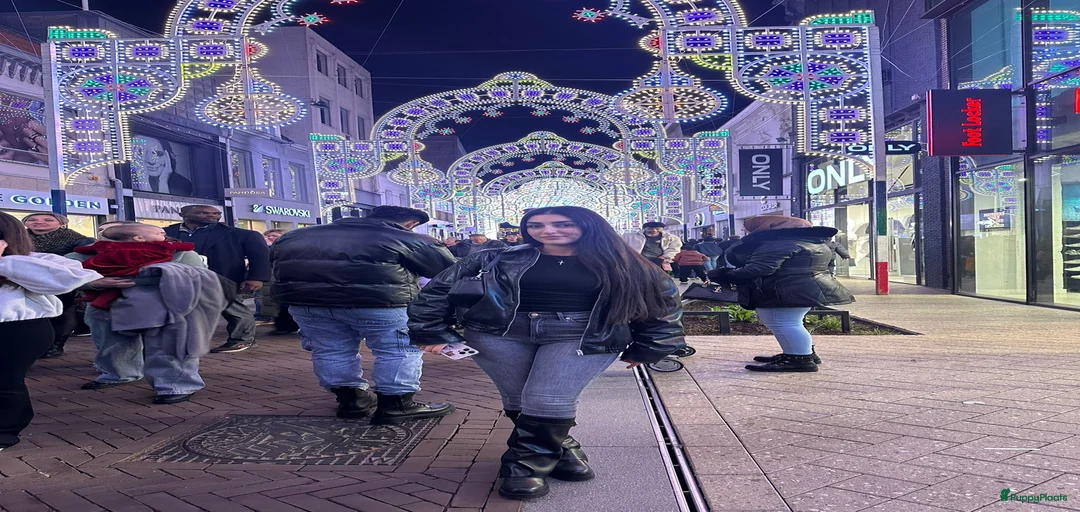 Galerij afbeelding {{count}}