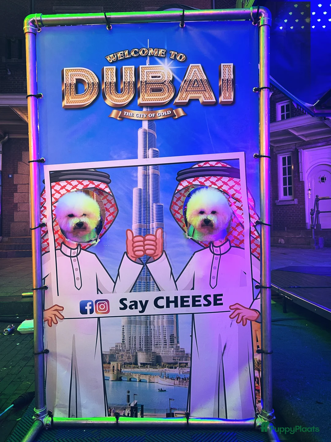 Galerij afbeelding {{count}}