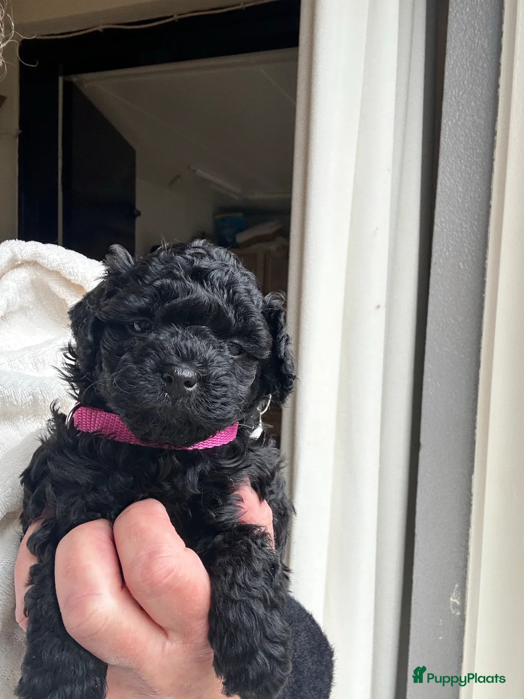 Galerij afbeelding {{count}}