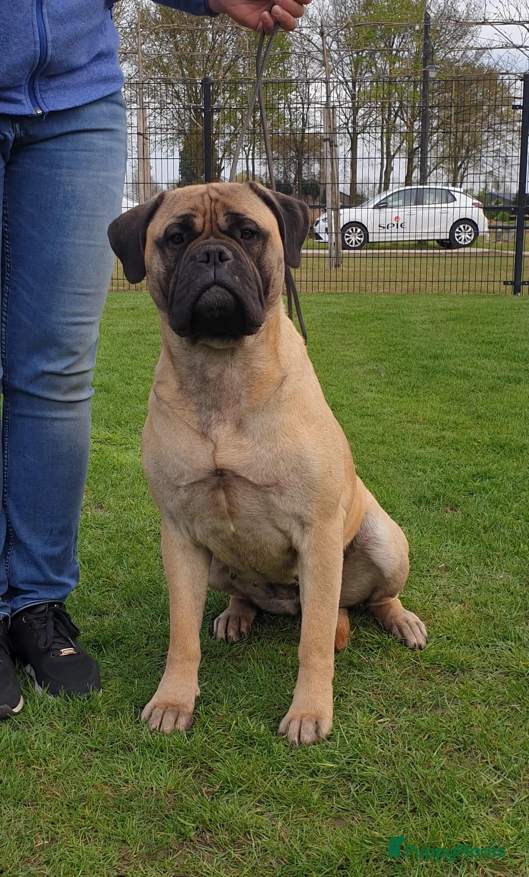 Galerij afbeelding {{count}}