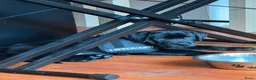 Labrador Retriever honden te koop: Labrador retriever 2 months in Den Haag - Advertentie 1