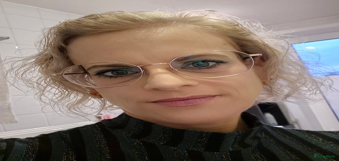 Galerij afbeelding {{count}}