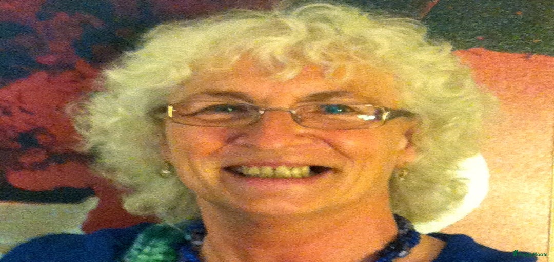 Galerij afbeelding {{count}}