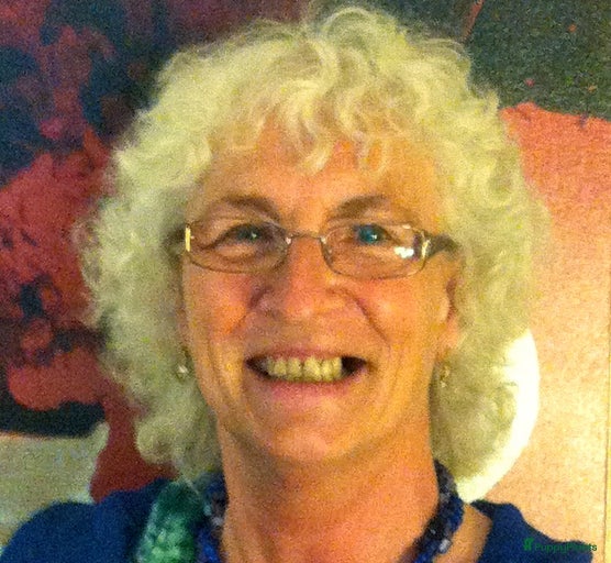 Galerij afbeelding {{count}}