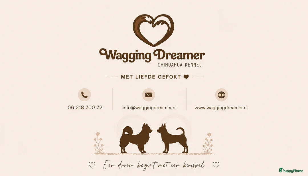 Galerij afbeelding {{count}}