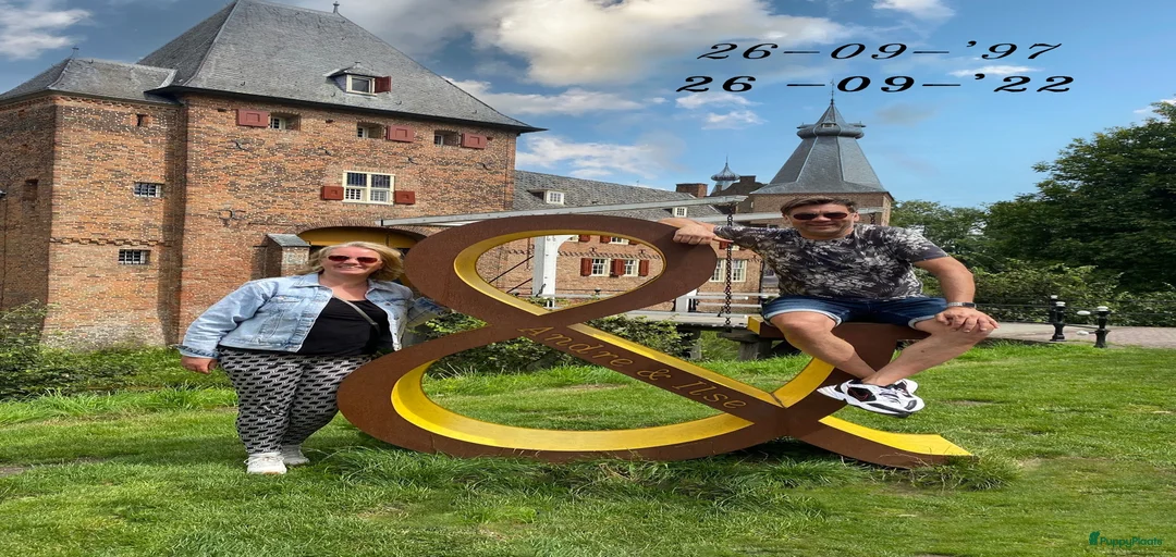 Galerij afbeelding {{count}}