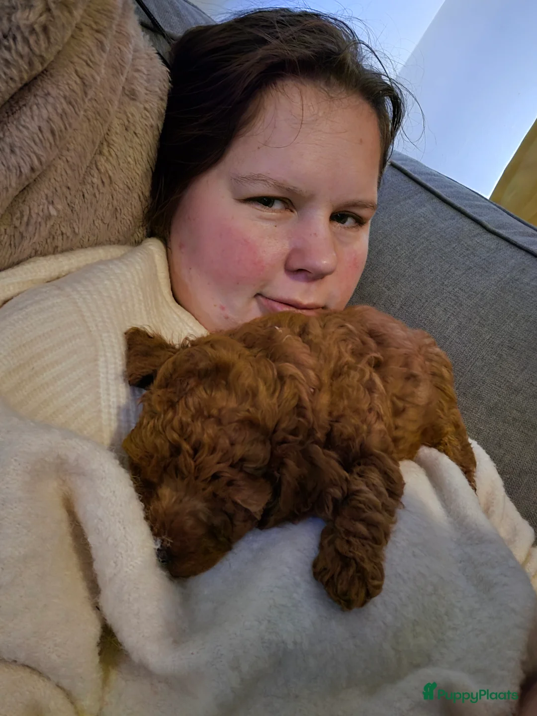 Galerij afbeelding {{count}}