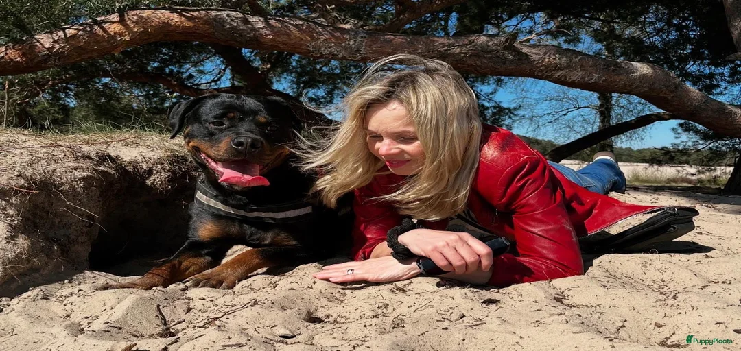 Galerij afbeelding {{count}}